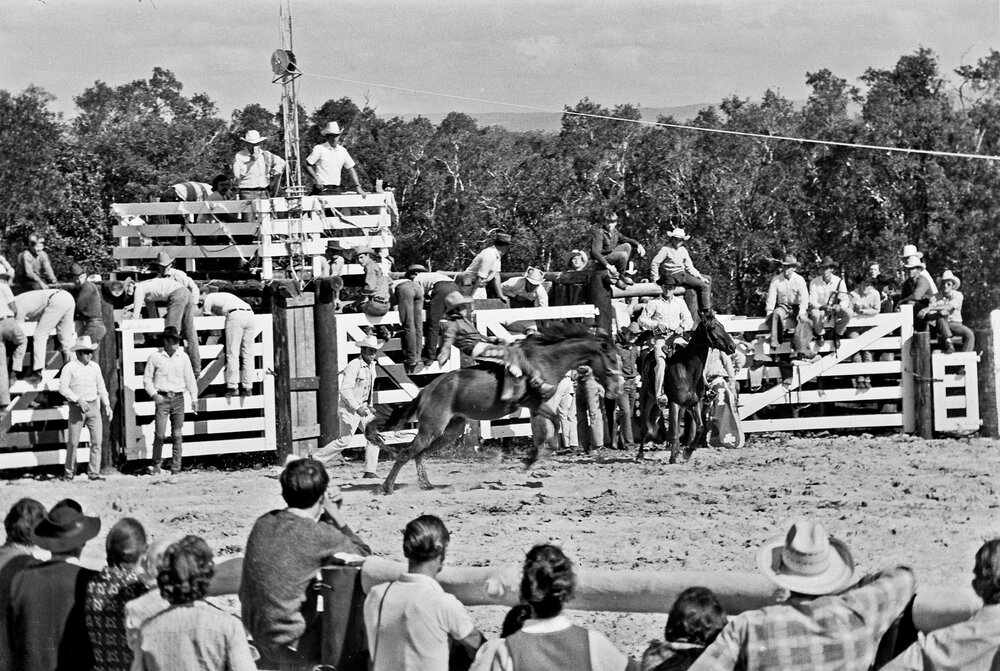 Bareback bronc rider, Noosa Rodeo, Weyba Ranch, Sunset Drive, Noosa ...